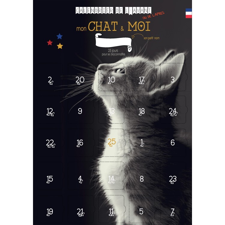 Calendrier De L Avent Mon Chat Et Moi 25 Jeux Et Astuces Person